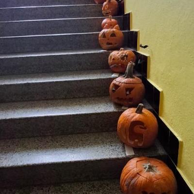 Soutěž o nejkrásnější dýni