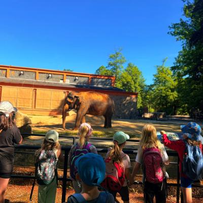 Báječný výlet do ZOO Berušek a Motýlků