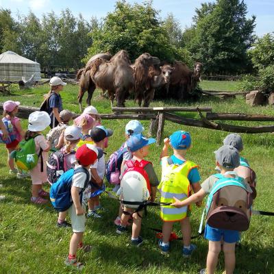 Výlet Včeliček a Broučků do ZOO Chleby